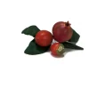 Pomegranate and Persimmon Pick x 3 with Leaves   (Set of 12)