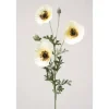 Poppy with 2 Buds in Golden Cream Yellow