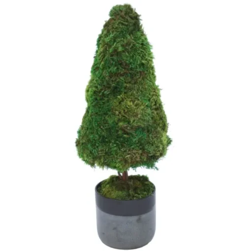 Preserved Moss Topiary in Black Ceramic Planter