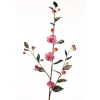 Prunus Mum in Wine