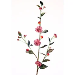 Prunus Mum in Wine