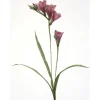 Purple Freesia (Sold in Multiples of 12)