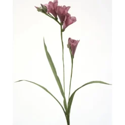 Purple Freesia (Sold in Multiples of 12)
