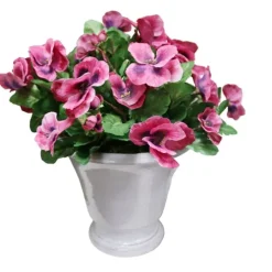 Purple Pansies In White Pot