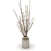 Pussy Willow Branches in Smoke Amber Glass with Gold Rim