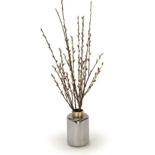 Pussy Willow Branches in Smoke Amber Glass with Gold Rim