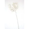 Queen Anne Lace Spray
