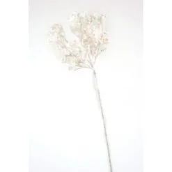 Queen Anne Lace Spray