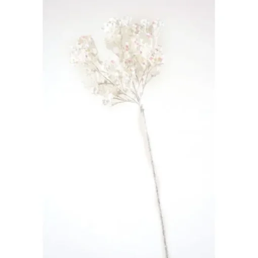 Queen Anne Lace Spray