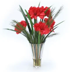 Red Amaryllis with Pine in Tall Fluted Vase