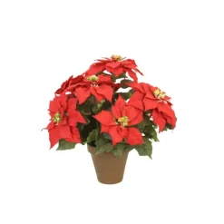 Red Poinsettia Plant in Planter