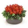 Red Repens Mixed with Phalaris and Foliage in Low Round Black Wash Planter