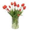 Red Tulips in Glass Cylinder