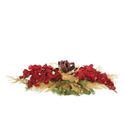 Red Velvet Phalaenopsis in Holiday Arrangement