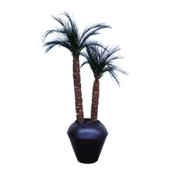 Robellini Palm x2 in Metal Jar with Rivets