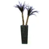 Robellini Palm x2 in Tall Natural Coconut Mosaic on Fiberglass Container