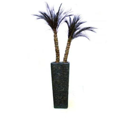 Robellini Palm x2 in Tall Natural Coconut Mosaic on Fiberglass Container