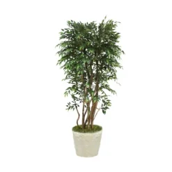 6' Ruscus Tree in Liner