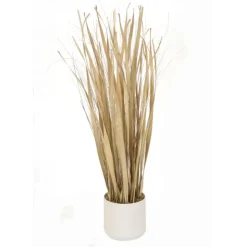 Rush Natural Grass with Fountain Grass in White Pot