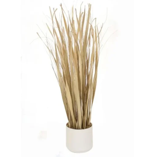 Rush Natural Grass with Fountain Grass in White Pot