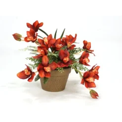 Rust Orchids and Orchid Foliage in Stained Pot