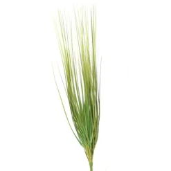 25" Sage Green Grass Pick