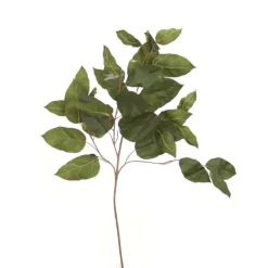 Salal Branch Olive Green  (Set of 24)