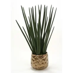 Sanseveria Plantings in Burnt Gold Gabbi Pot