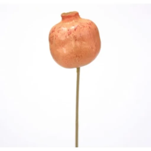 Sm Pomegranate Pick