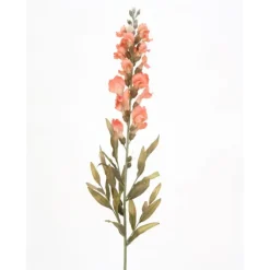 Small Peach Snapdragon Stem  (Sold in Multiples of 12)