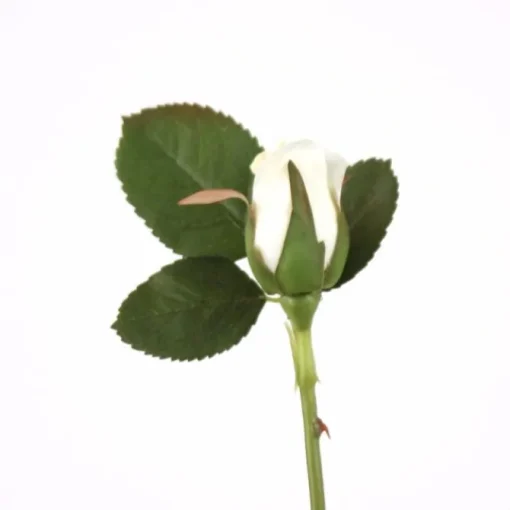 Small Rose Bud with Leaves in Bridal White  (Sold in Multiples of 72)