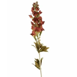 Snapdragon Spike in Burgundy Green