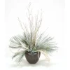 Snow Pine with Silver and White Ice Branches in Crystal Bronze Pot