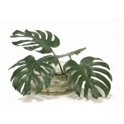 Split Philodendron Leaf in Low Glass Bowl