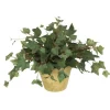 Star Ivy in Olive Wash Clay Pot