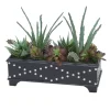 Succulent Garden in Black Leather Box
