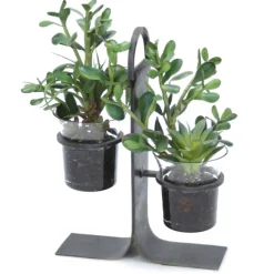 Succulent Garden in Glass with Iron Holder