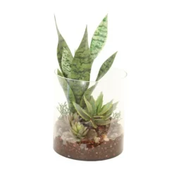 Succulent Garden in Large Round Cylinder
