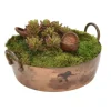 Succulent Garden in Metal Round Planter