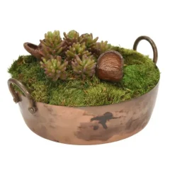 Succulent Garden in Metal Round Planter