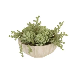 Succulent Garden in White Ribbed Bowl