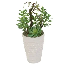 Succulent Garden in White Layered Pot