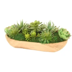 Succulent Garden in Wood Bowl