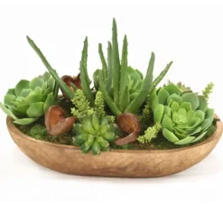 Succulent Garden in Wood Bowl