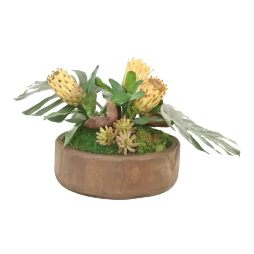 Succulent Garden with Protea and Split Philo in Round Wood Bowl