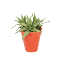 Succulent in Orange Planter