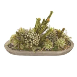Succulent with Buxfliua and Brunia in Wood Oval Bowl
