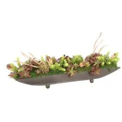 Succulents in Bronze Tray