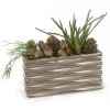 Succulents in Silver Embossed