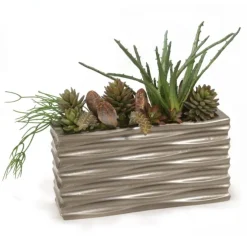 Succulents in Silver Embossed